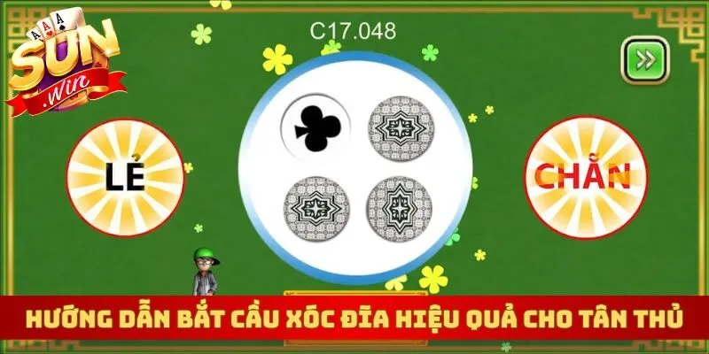 Hướng dẫn bắt cầu xóc đĩa hiệu quả cho tân thủ